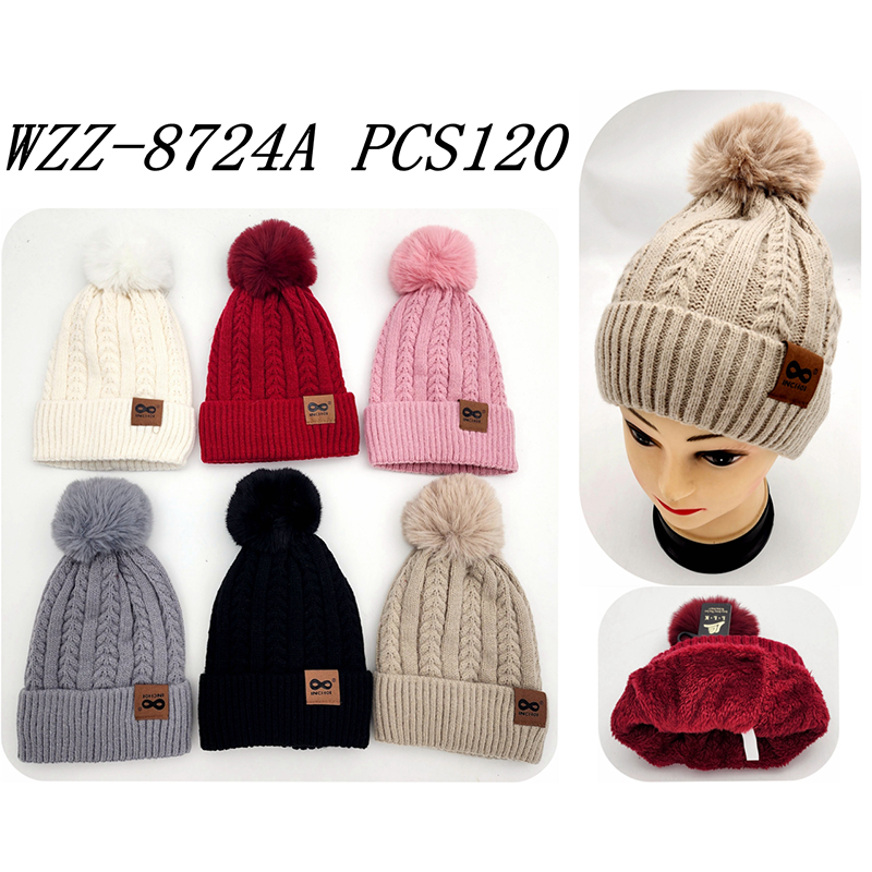 WZZ-8724A CS120